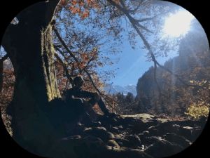 Cédric sous un arbre